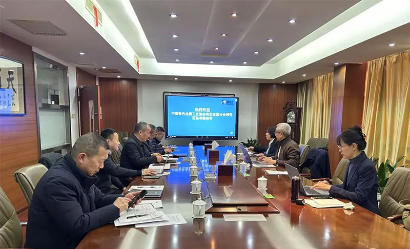 中国有色金属工业协会再生金属分会副会长刘巍一行莅临尊龙凯时官方登录入口新材调研
